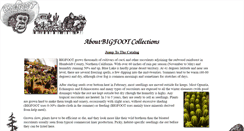 Desktop Screenshot of bigfootcollections.com